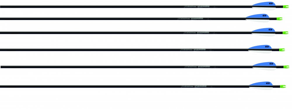 6x Easton Carbonpfeil Inspire Bogensport Pfeil SPINE 900 - 29,5 Zoll Sportpfeil